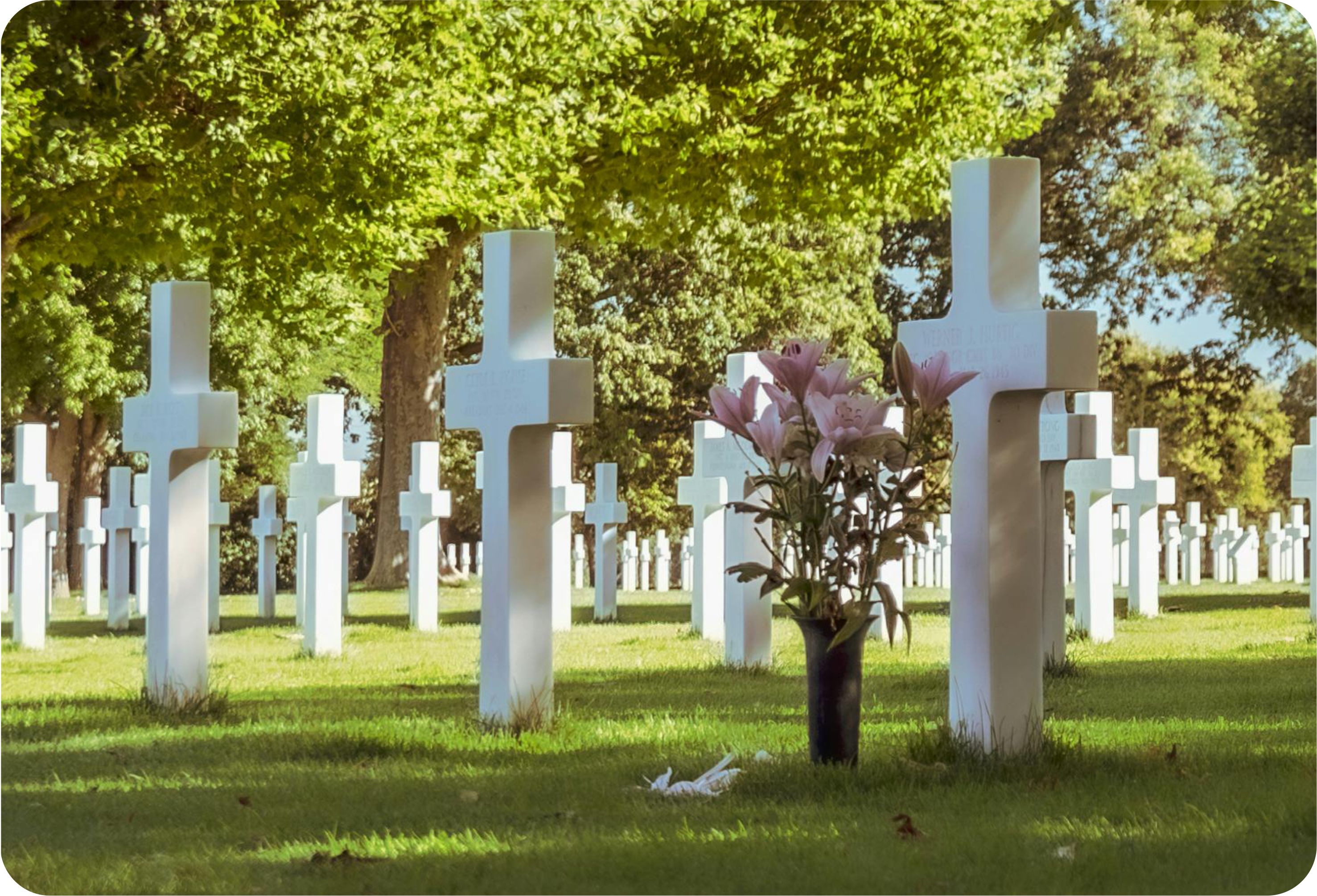 Assistência Funeral